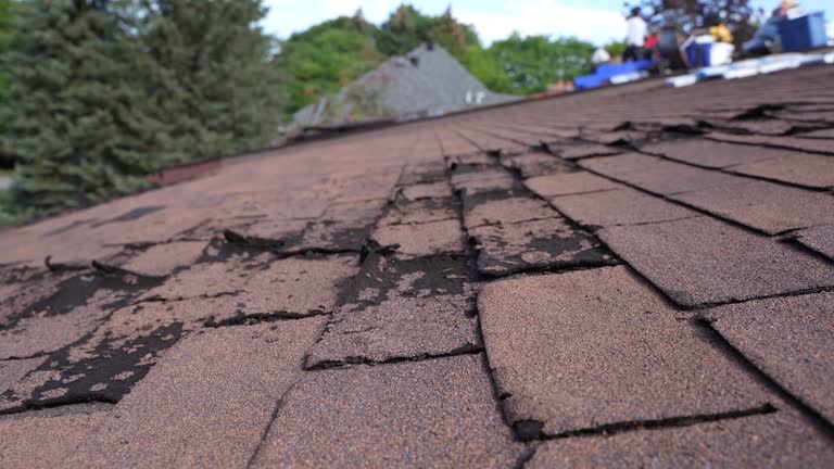 Best Metal Roofing Installation  in Mcleansboro, IL
